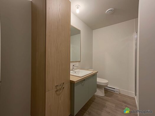Ceci est une photo de la salle de bain, modèle Evo garage